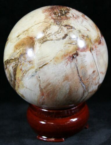 Colorful Petrified Wood Sphere #26635